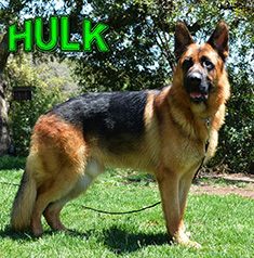 Hunter Headshot